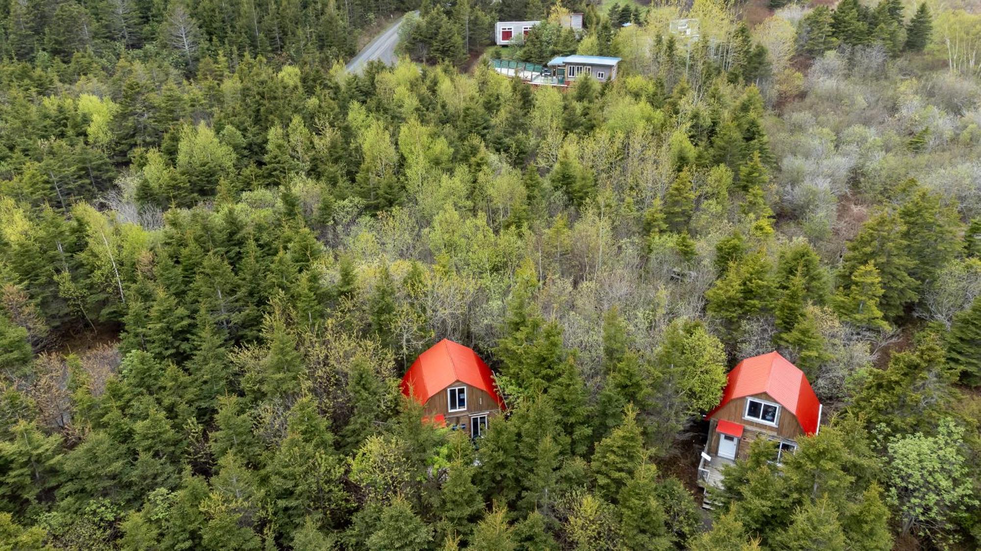 Auberge/Chalet Griffon Aventure L'Anse-au-Griffon Exterior foto