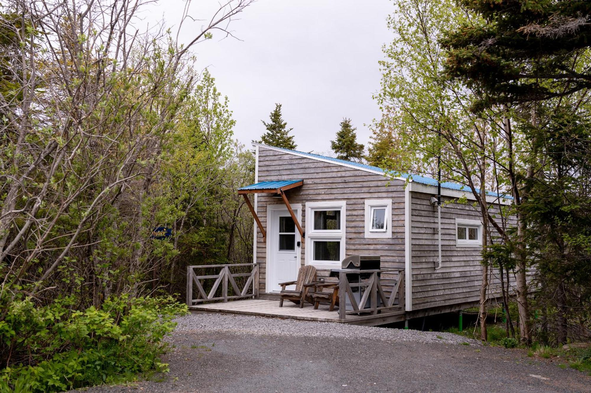 Auberge/Chalet Griffon Aventure L'Anse-au-Griffon Exterior foto