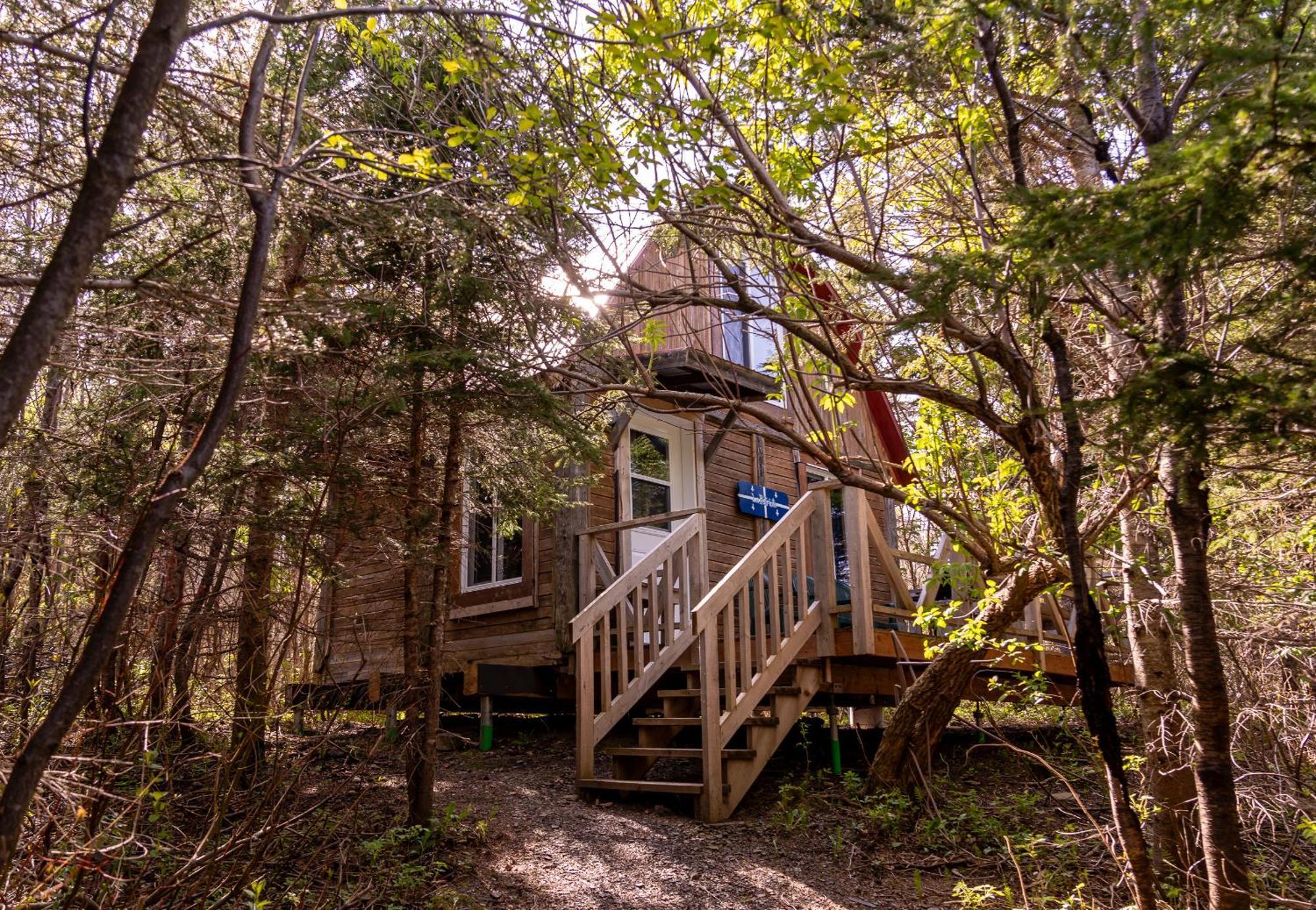Auberge/Chalet Griffon Aventure L'Anse-au-Griffon Exterior foto